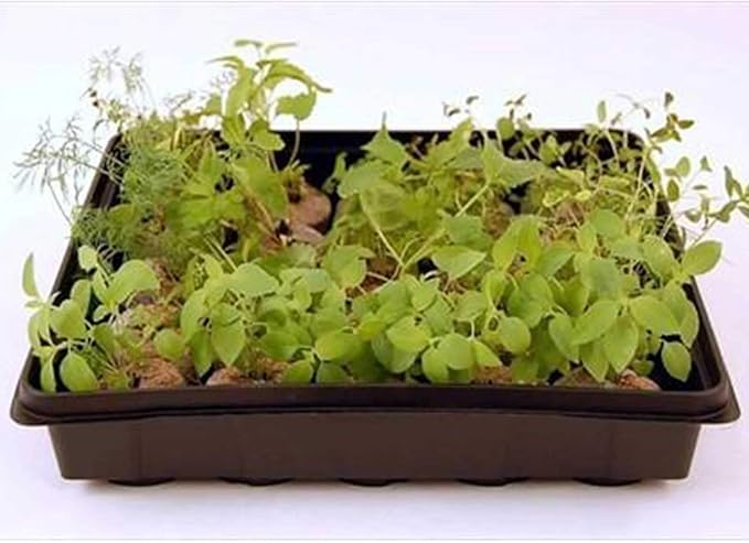 10 x 10 Garden Growing Trays with Drain Holes - 10-pack Recyclable Plastic Plant Trays for Wheatgrass Sprouting Tray Microgreens Growing Trays Hydroponic Trays Nursery Flats Greenhouse Supplies