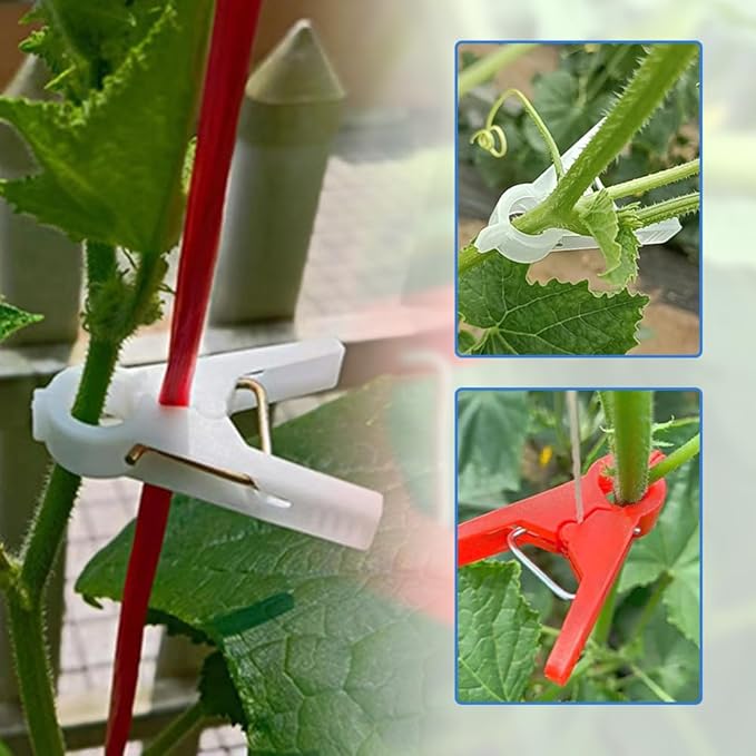 Plant Support Clips Secured Plastic Plant Clips Reusable Garden Trellis Clips for Climbing Plants Outdoors Tomato Grape Vine Vegetables Plant Support Fixing Clips (100 clear-1.8cm/0.7in)