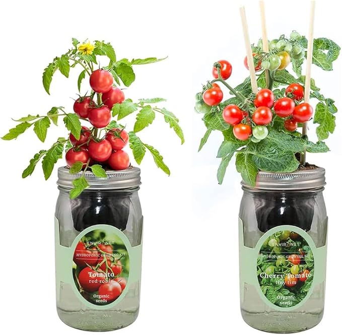 2-Pack Hydroponic Mason Jar Herb Garden Kit Indoor Herb Garden Self-Watering Starter Kit New Christmas Gift for Mom (Cherry TomatoRed Robin Tmato)
