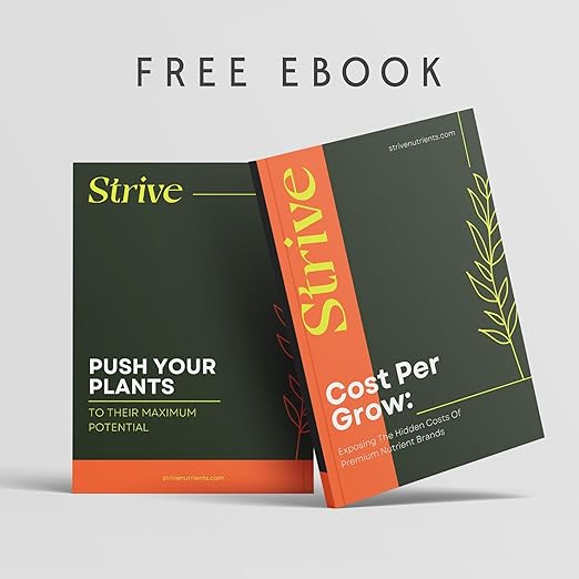 Strive Fertilizer Part B Package - Veg + Bloom General Hydroponic Nutrients - Premium Indoor Outdoor and Soil Growing Plant Food - Enhancer - Booster for Vegetables Succulents Flowers &amp More