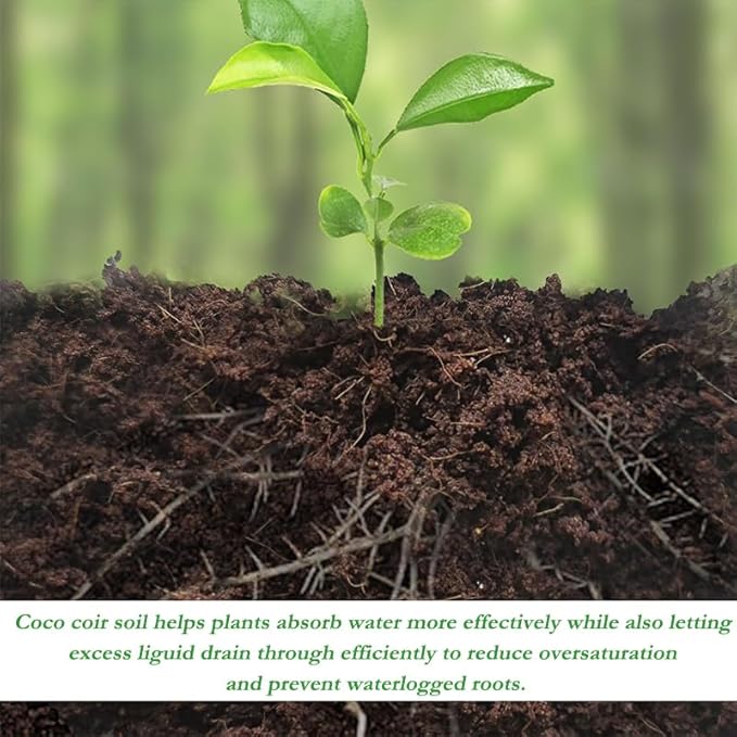 1/3/5/10 Organic Fiber Coir Bricks for Plants and Gardening - Suitable for Garden Soil Seed Starting Soil and Mulch - Coconut Fiber Potting Mix (5x10x20cm) (10 pcs)