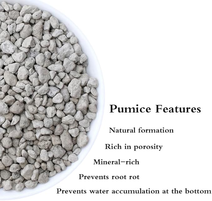 Garden Pumice Rock Horticultural Cactus Bonsai Succulent Soil Additive for Plants Landscaping Vase Fillers (3/8 inch 20 QT)