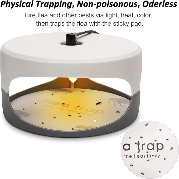 Flea Traps for Inside Your Home 2 Pack Flea Trap with Sticky Pads Refills &amp Light Bulb Replacement Odorless Natural Indoor Bed Bug Light Killer Insect Infestation Treatment Trap for Kids Pet
