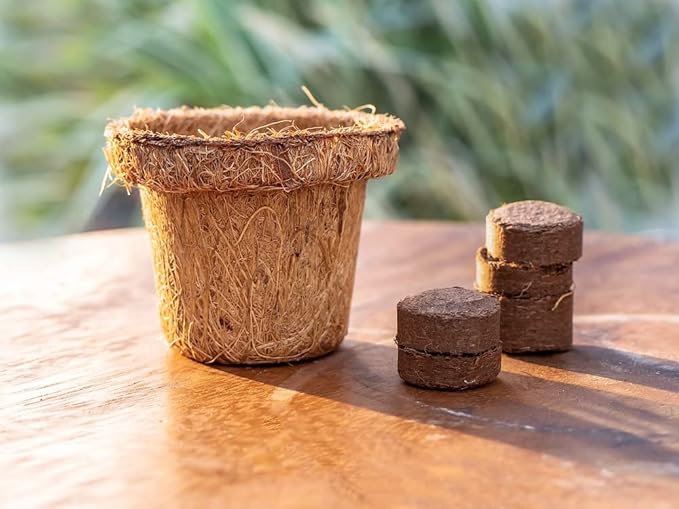 Envelor Coco Coir Seed Starting Pellets 0.8 Inches Dia - 180 Pack Soil Mix for Seed Starter Kits Nursery Pots and Seed Trays Compressed Coconut Fiber Pellets Indoor Plants Potting Soil Coco Discs