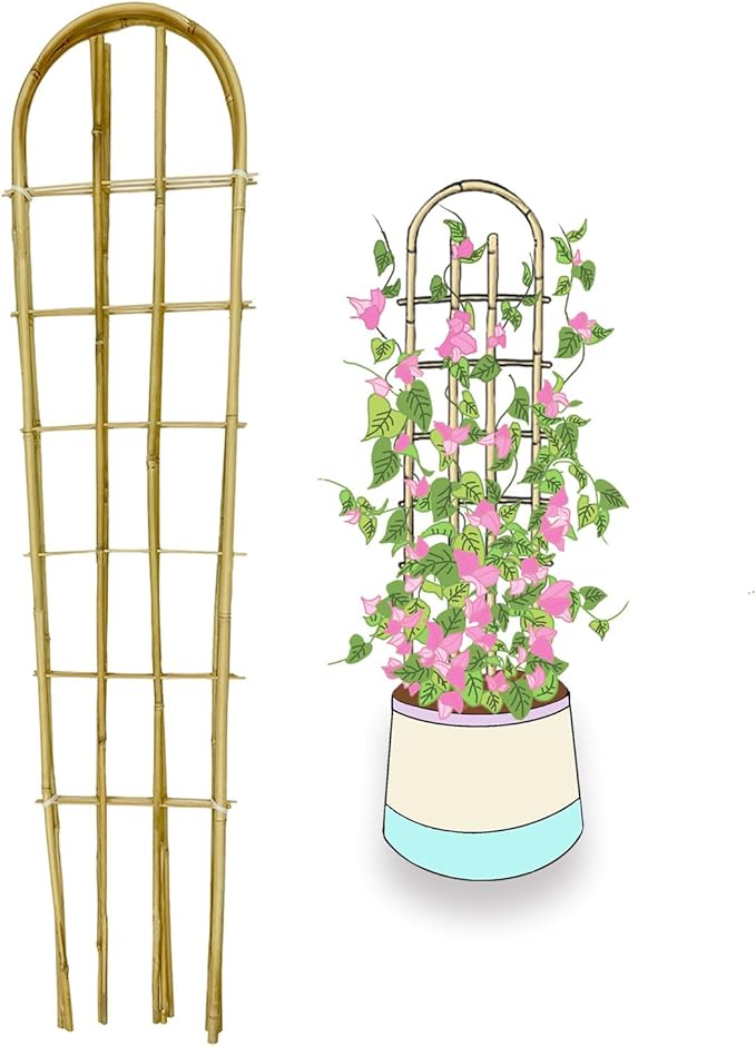 Bamboo TrellisU-Shape Bamboo Trellis4Feet3packfor Climbing Plants Outdoor BambooforClimbing PlantsTomato VegetablesFlowers Beans CucumberIndoor Potted Climb Plants