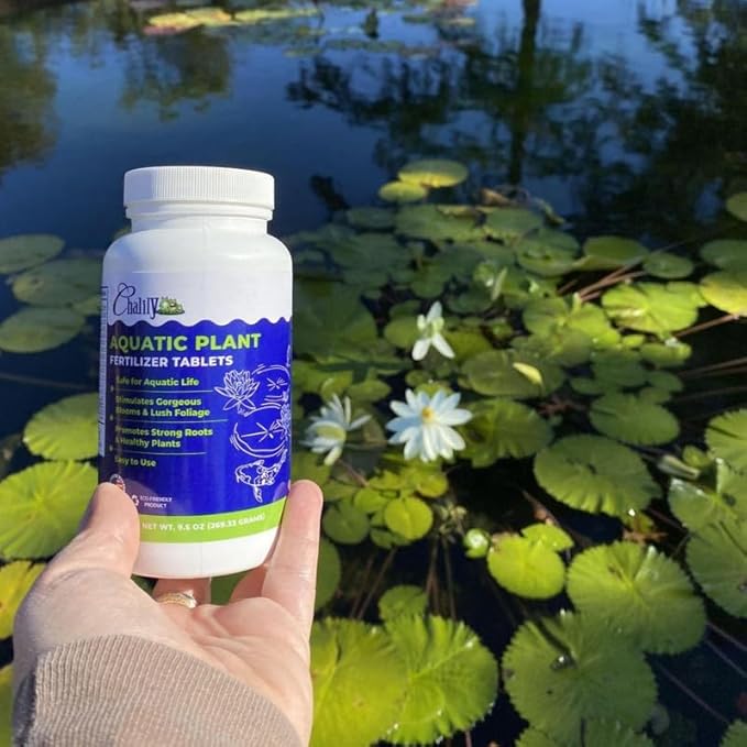 Chalily Aquatic Planting Bundle for Waterlilies Bog Plants Lotus Easy Water Lily Plant Kit Hardy Tropical Waterlily Kit Pond Water Garden Aquatic Soil Pond Plants (4qt Soil 10” Pot Fertilizer)