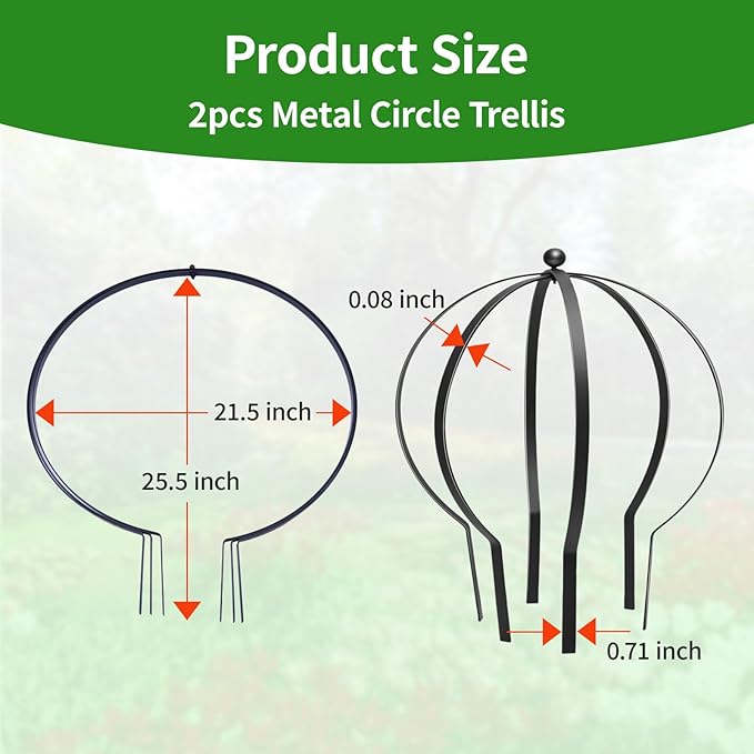 2Pcs Metal Obelisk Trellis for Climbing Plants Outdoor 25.5X21.5 Circle Garden Trellises for Vines Flowers Climbing Plant Trellis Potted Cages Plant Support for Patio Doorway Courtyard Decor