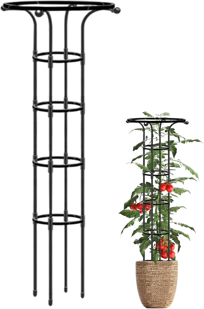 Plant Trellis Garden Trellis for Climbing Plants 61 Inch Umbrella Shape Rose Rustproof Metal Vertical Garden Obelisk for Outdoor Rose