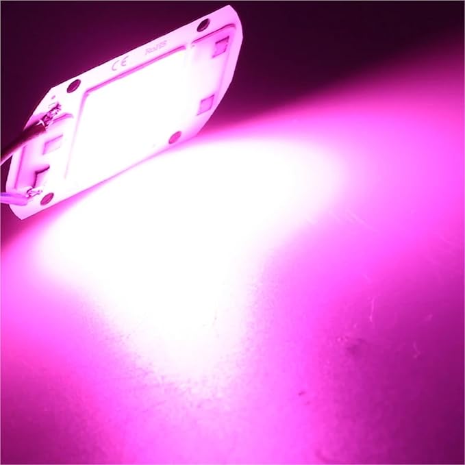 10Pcs/lot LED Chip Diode 110V 220V LED Lamp No Need Driver for Flood Light Spotlight LED Full Spectrum Plant Growth Lamp chip(Grow Light110V_10W)
