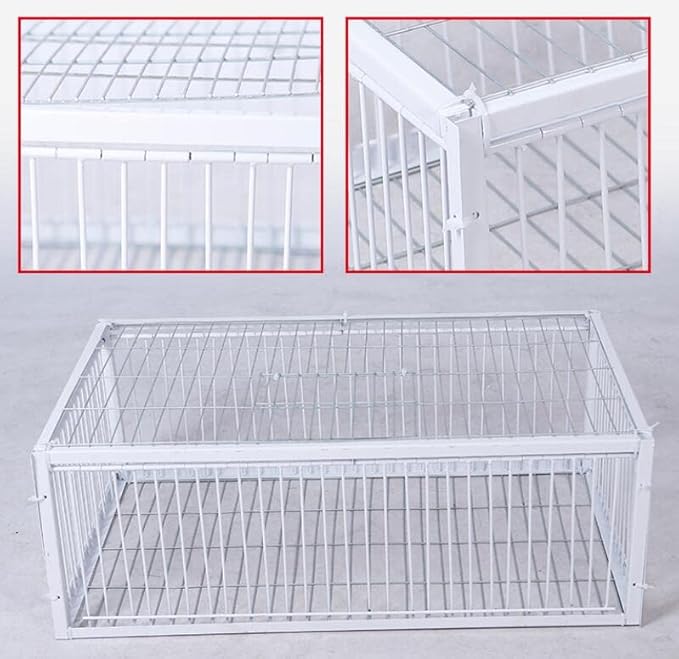 Big Foldable Galvanised Pigeon Dove Bird Trap Cage Feral Pigeon Humane Way with The one-Way Entrance Trapping Pigeons Doves in Cages