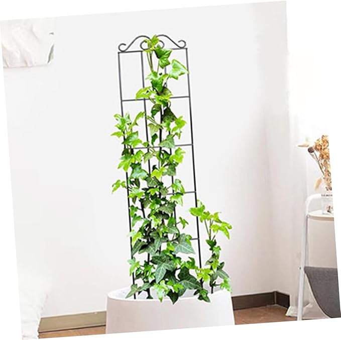 Gatuida 4pcs Metal Climbing Plant Support Trellis Frame for Garden and Home 50x15cm Black Vegetable Trellis for Climbing Vines and Potted Flowers