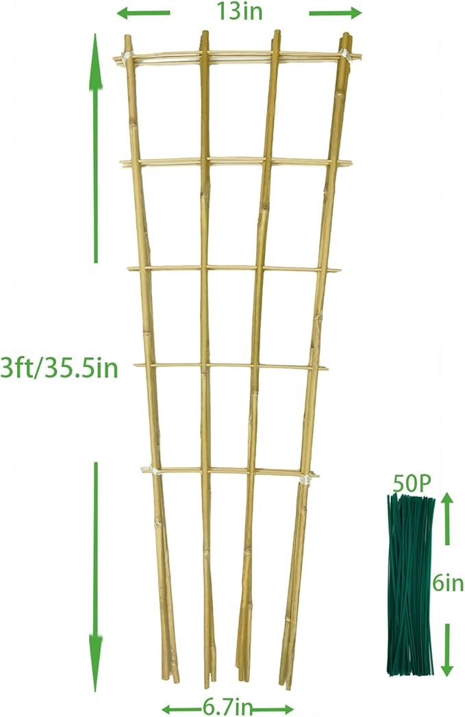 Natural Bamboo Trellis 3Feet3PackFan-Shaped Plant Support Trellis for Outdoor and Indoor Potted Climbing PlantsVegetables Cucumber Tomato Hoya