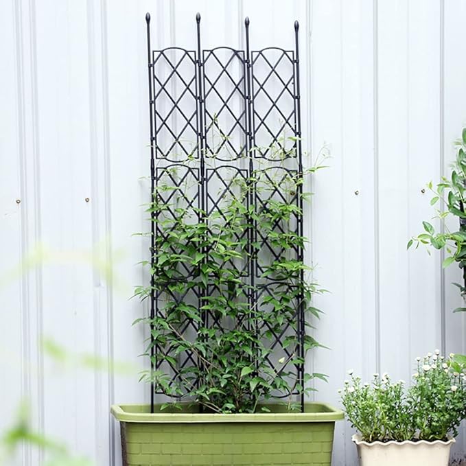 Black Garden Trellis for Climbing PlantsRustproof Plastic Coated Metal Plant Support35in53in Tall Frame for Vines Flowers Vegetables and Roses - Indoor/Outdoor Use (Size : 23.6in/60cm X 18.3 in