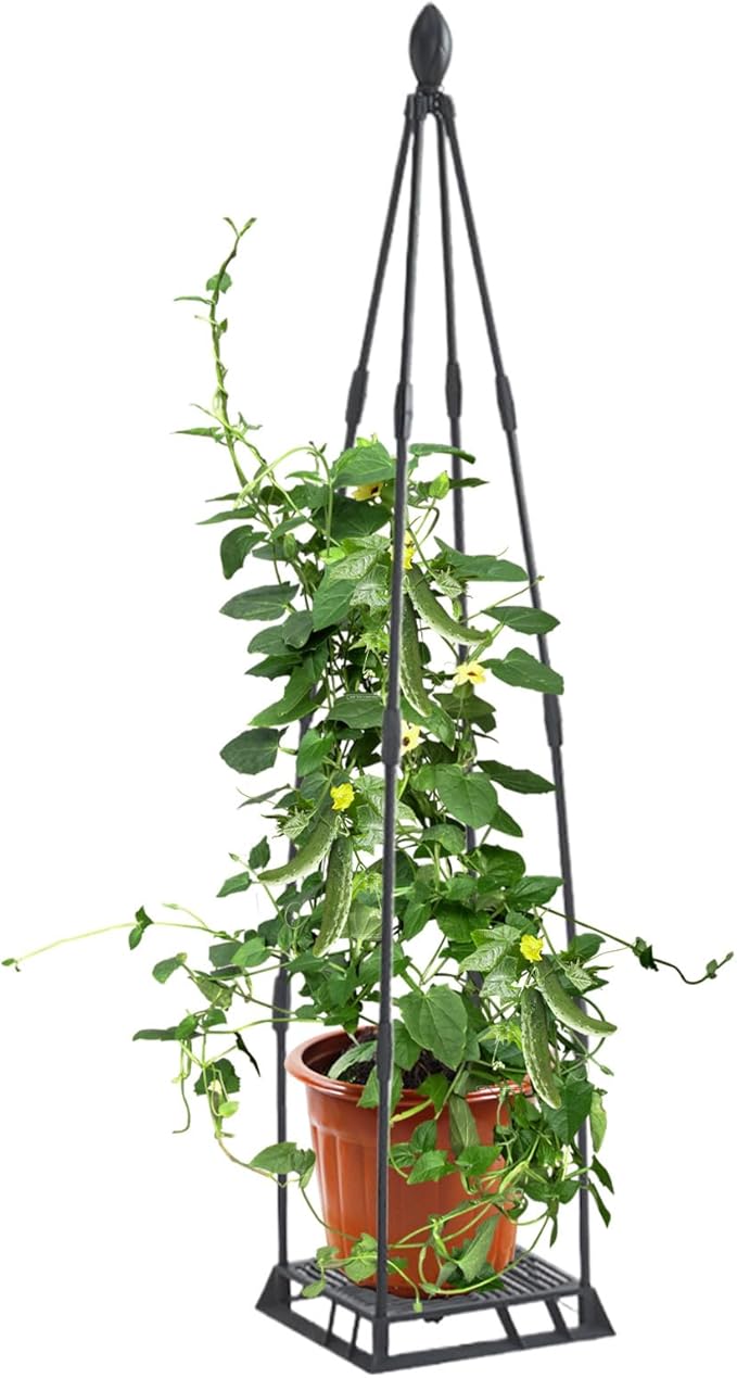 Garden Trellis for Climbing Plants Metal Plant Support Plants Climbing Trelli Frame Rustproof Obelisks Clematis Support for Pots Plant Rose Tomato Cucumber Flowers Grape Pea