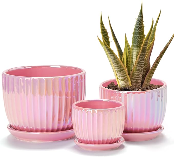 Ton Sin Pink Gold Ceramic Flower Pots 4+5+6 Inch Small Glazed Succulent Planters with Drainage HoleModern Indoor Decorative Plant Pots Set of 3Garden Pots with Saucer