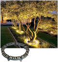 LED Tree Surrounding Lights - IP65 Waterproof Garden Spotlights 5PCS RGB Landscape Lamps AC220V Outdoor Decorative Pillar Lights for Courtyards