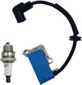 A411001870 Ignition Coil Fit for Echo PB8010H PB8010T 2019 Trimmers Blowers with Spark Plug Backpack Blowers A411001870 598472001