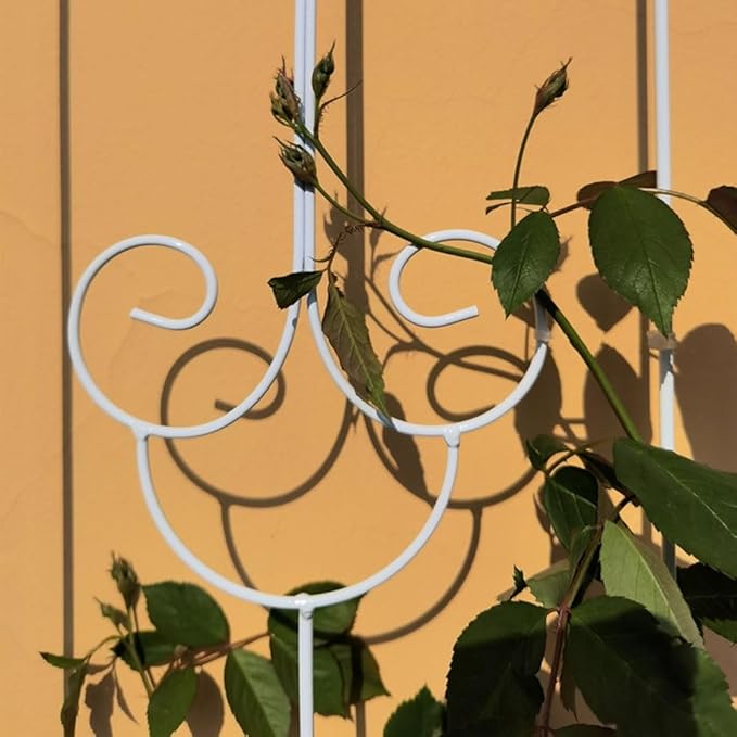 Garden Trellis Plant Trellis for Potted PlantsMetal Plant Support Structure for Outdoor Vegetables Fruits Flowers Vines(Color:WhiteSize:180cm(70.9 inches))