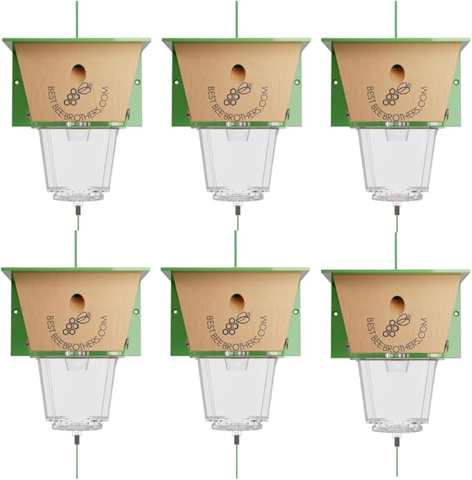 Best Bee Brothers Ultimate Carpenter Bee Trap for Outside with Large Clear External Receptacle Internal Bee Vault &amp Spring-Loaded Door 5.75 L x 6 W x 4.5 H (6 Pack)