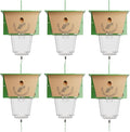 Best Bee Brothers Ultimate Carpenter Bee Trap for Outside with Large Clear External Receptacle Internal Bee Vault &amp Spring-Loaded Door 5.75 L x 6 W x 4.5 H (6 Pack)