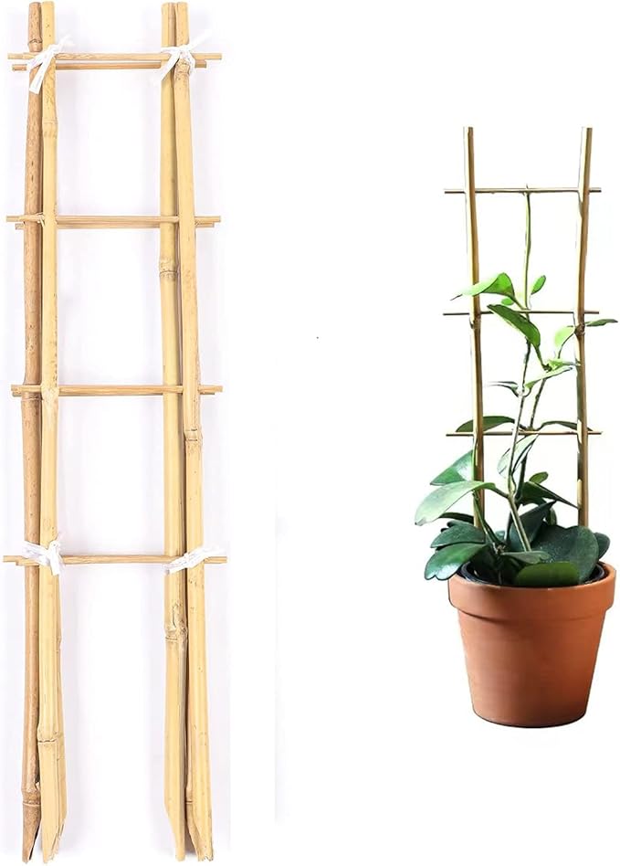 24 Inch Trellis for Potted Plants 3 Pack Bamboo Trellis Indoor Natural Garden Trellis for Climbing Plant Monstera Hoya Vegetables and Fruits