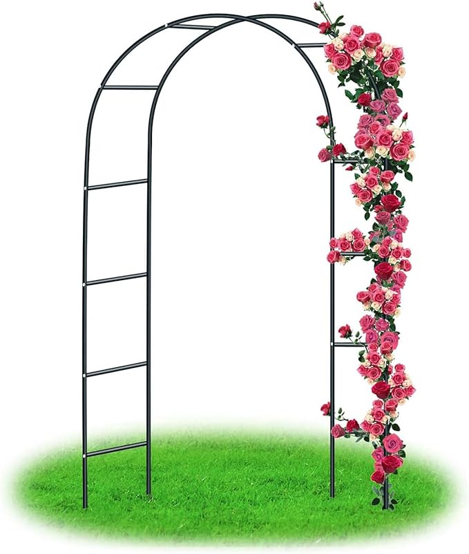 Garden Trellis Arch Garden Arch Wedding Arch Outdoor Steel Arbor Arch Backdrop Stand for Vines Flowers Vegetables Fruits Flowers Easy Assembly 2 Sizes Perfect for Weddings (Color : Black)