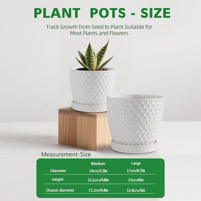 Docrin Ceramic Plant Pots Set of 2 (6.6+5.5) High-Fired Clay Indoor Planters with Drainage Holes &amp Saucer Honeycomb Modern Home Decor for All House Plants