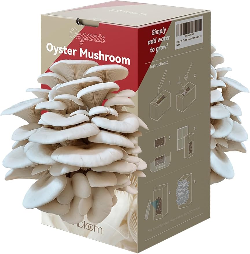 inbloom Organic Oyster Mushroom Growing Kit with Spray Harvest Fresh Mushrooms at Home Beginner Friendly &amp Easy to Use Unique Gardening Gift for Holiday Handmade in New Jersey USA