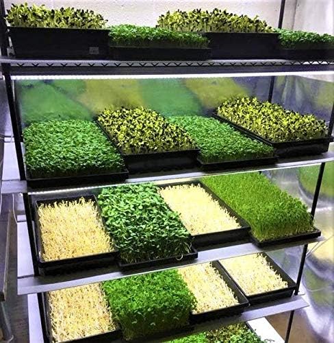 Bootstrap Farmer Mesh Bottom 1020 Trays - 10 Pack Extra Strength Microgreens Soil Blocks Hyroponics