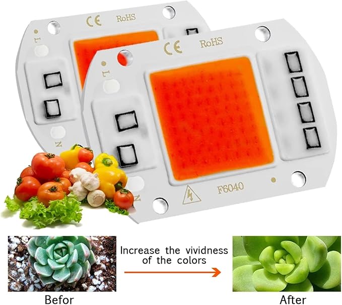 10Pcs/lot LED Chip Diode 110V 220V LED Lamp No Need Driver for Flood Light Spotlight LED Full Spectrum Plant Growth Lamp chip(Cold White220V_50W)