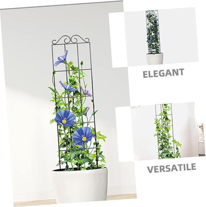 GLEAVI 4pcs Metal Plant Support Stakes Climbing Plant Frame Garden Trellis for Vines and Flowers 50x15cm Black Indoor Outdoor Vegetable Climbing Rack