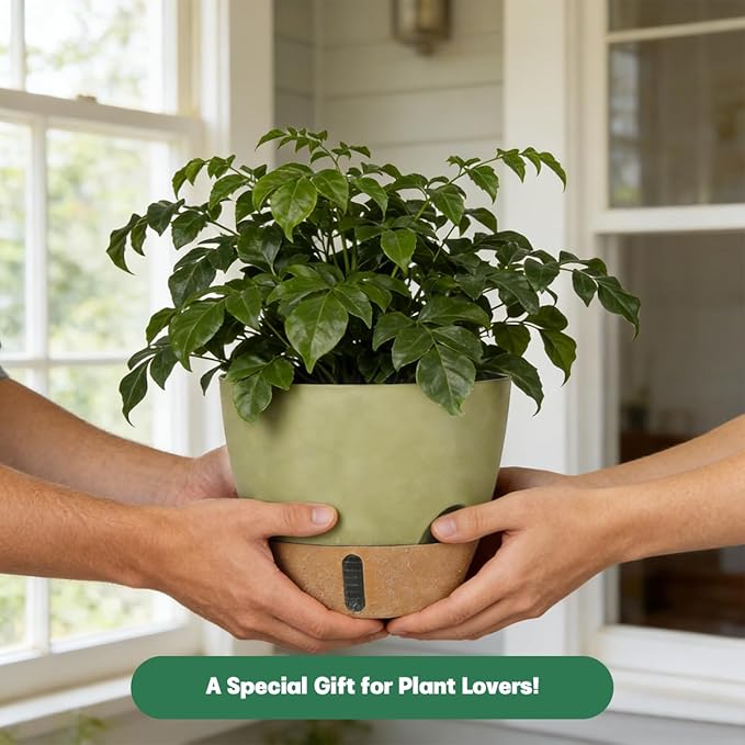 Self-Watering Hanging Planters for Indoor Plants Set 2-Piece Includes Plant Hanging Pot Drainage-Hole Hanging Pot and Hanging Basket Rack (10 Inches Green)