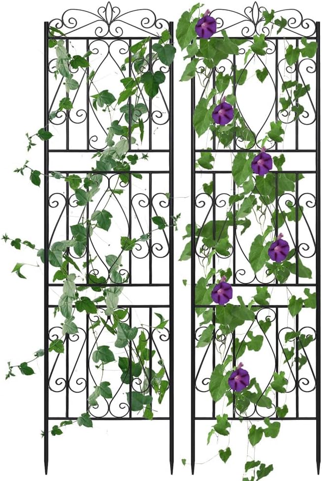 2 Pack Rustic Arch Garden Trellis Rustproof with Stakes Easy Installation for Ivy Climbing Plants