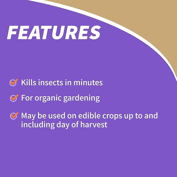 Bonide Insecticidal Soap 32 oz Ready-to-Use Spray Multi-Purpose Insect Control for Organic Gardening Indoor and Outdoor- Pack of 2