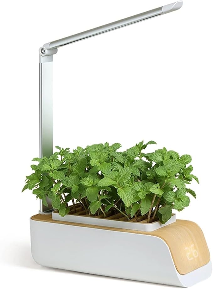 Indoor Hydroponics System Indoor Garden Full Spectrum Grow Light Soilless Cultivation Indoor Garden Planter Grow Lamp Nursery Pots Gardening Gifts for Women Mom wyqdp240305