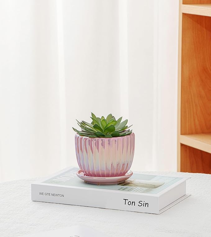 Ton Sin Pink Gold Ceramic Flower Pots 4+5+6 Inch Small Glazed Succulent Planters with Drainage HoleModern Indoor Decorative Plant Pots Set of 3Garden Pots with Saucer