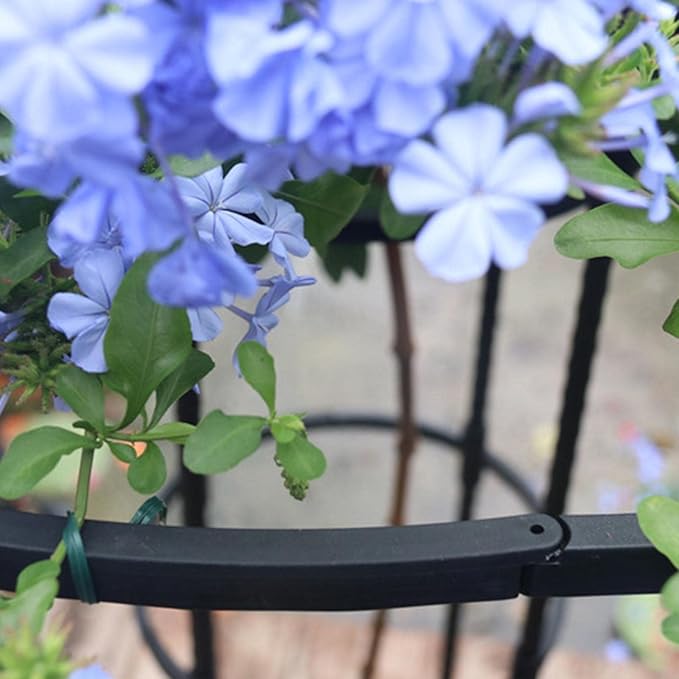 Indoor Plant Trellis | Umbrella Shape Single Plants Support - Garden Metal Trellis for Potted Plants 72.8in Outdoor Flower Support for Vine Ivy Flower Plant