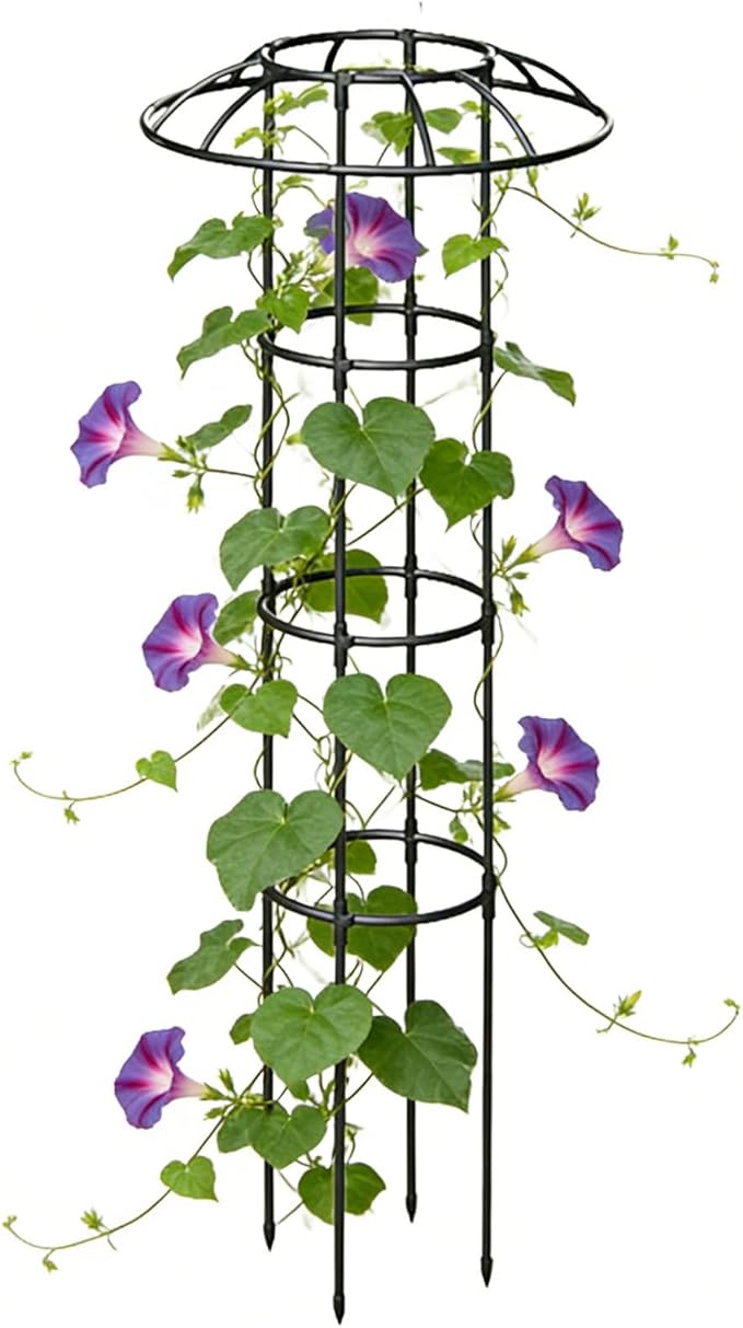 Garden Trellis | Vertical Decorative Climbing Plants Support - Support Cage Umbrella Trellis | for Vine Rose Clematis Vegetable Dragon Fruit Cucumber Hydrangeas Jasmine