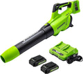 Greenworks 48V (24V x 2) Cordless Axial Leaf Blower (125 MPH / 515 CFM / 200+ Compatible Tools) (2) 2.0Ah Batteries and Dual Port Charger Included