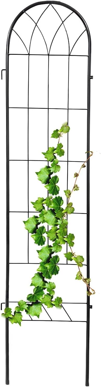 Garden Trellis for Climbing Plants Decorative Privacy Screen Metal Garden Ornament 150x33cm Indoor Outdoor Flower Fruit Vegetable (Black/White)(Color:BlackSize:180x33cm)