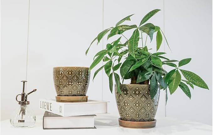 Docrin Dark Green Ceramic Planter Set - 6.6+5.5 Indoor Outdoor Pots with Drainage Holes &amp Saucers for Home Office Decor