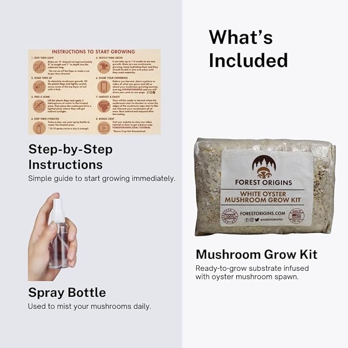 Forest Origins White Oyster Mushroom Grow Kit Harvest Gourmet Mushrooms in 10 Days Beginner Friendly Handmade in California USA Unique Gift