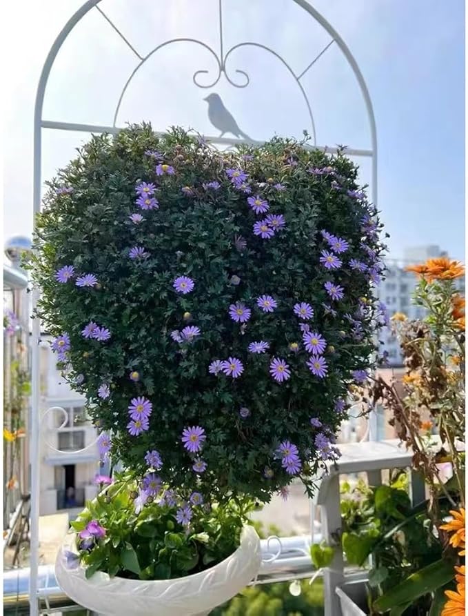 Beautiful Metal Fence Trellis Large Metal Garden Trellises for Climbing Plants Iron Trellis for Flower Rose Climbing(Color:BlackSize:210 * 52cm/82.7 * 20.5in)