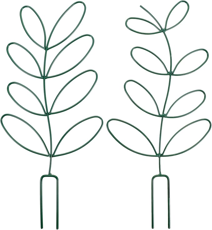 2pcs Climbing Plant Support Trellis for Garden and Indoor Plants Green Iron Frame Cage for Tomato and Vine Sturdy Outdoor Climbing Support Structure