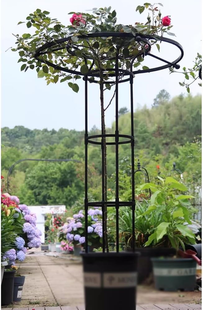 Garden Trellis Garden Umbrella-Shaped Trellis for Climbing Plants Potted Plant Climbing Support Frame Plant Support Frame Suitable for Tomatoes Cucumbers and Potted Plants(125CM)