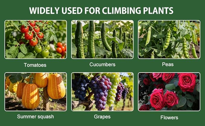 U-Shape Cucumber Trellis for Raised Beds - 47.2”x47.2”x21.6” Green Metal Arch Trellis Rust-Resistant Garden Plant Support for Climbing Vegetables Vines Flowers - Heavy Duty &amp Easy to Assemble