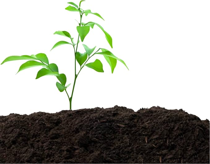 Old Potters Organic Compost - Plant Based Potting Soil - Home Garden Fertilizer - Complete Food - Boosts Plant Growth - Use for Indoor and Outdoor Farming ~25 lbs (24 Quarts)