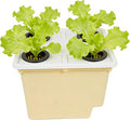 Hydroponic Vegetable Planter - Soilless Cultivation Gardening SuppliesHydroponic Growing System for Vegetables | for Indoor Outdoor Windowsill Balcony Greenhouse Tomato Cucumber Fruit