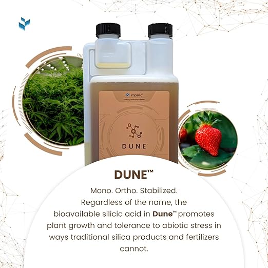 Dune - Bioavailable Silica for Plants – Strengthens Cell Walls Boosts Growth &amp Stress Resistance – Bigger Yields – Hydroponic &amp Soil Compatible - Medicinal Fruit Vegetable &amp Ornamental