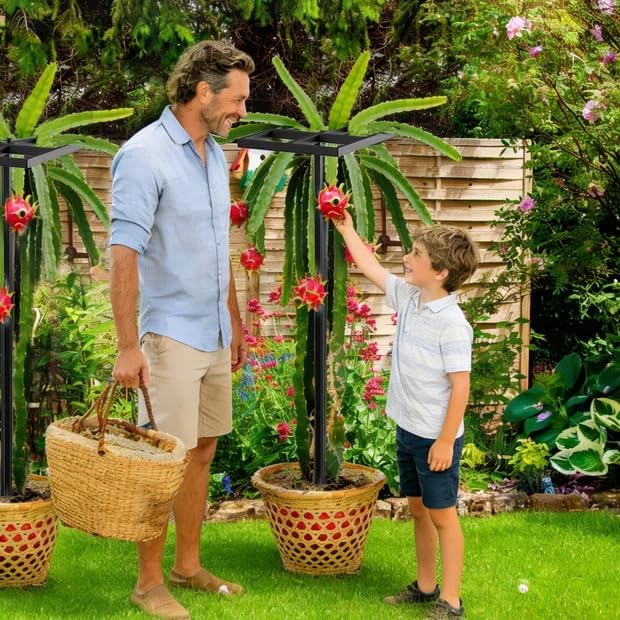 1 Pcs Dragon Fruit Trellis for Climbing Plants Adjustable Metal Plant Trellis Outdoor &amp Indoor Garden Trellis for Potted Plants Vertical Support for Dragon Fruit Cactus - Easy Assembly (1 Pack